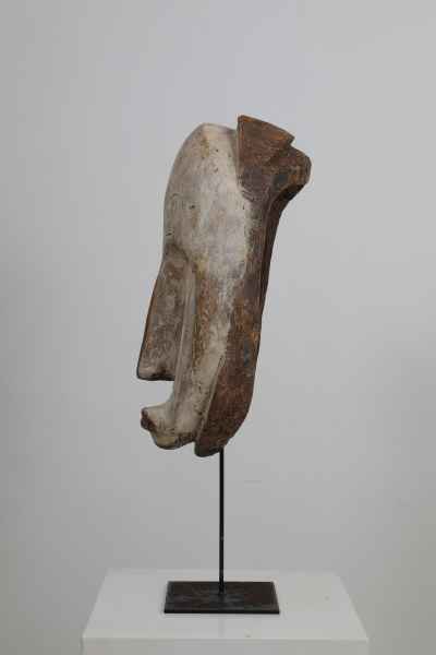 Mask Fang - NGIL - left