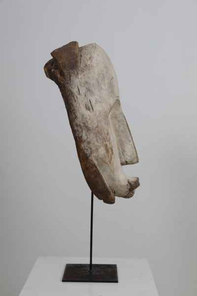 Mask Fang - NGIL - right