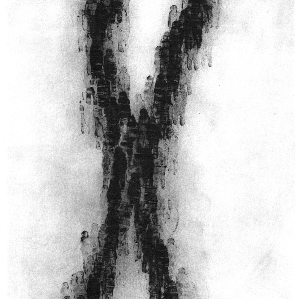 X