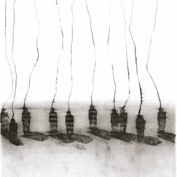 Chromosome 1